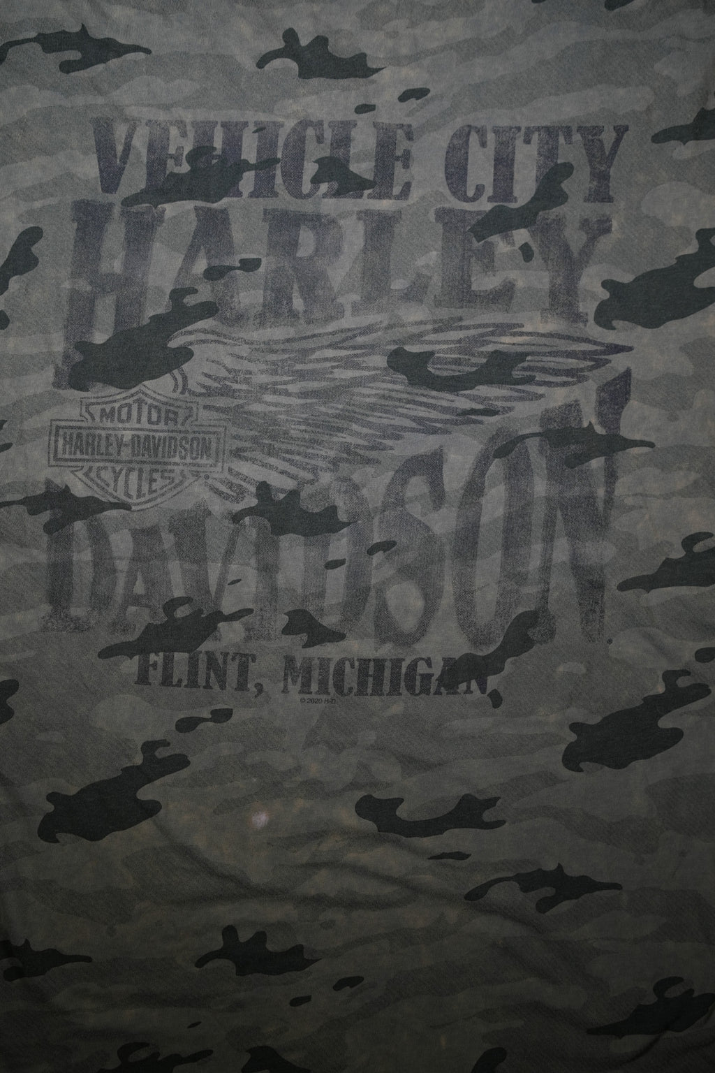Flint, Michigan Harley Davidson ￼