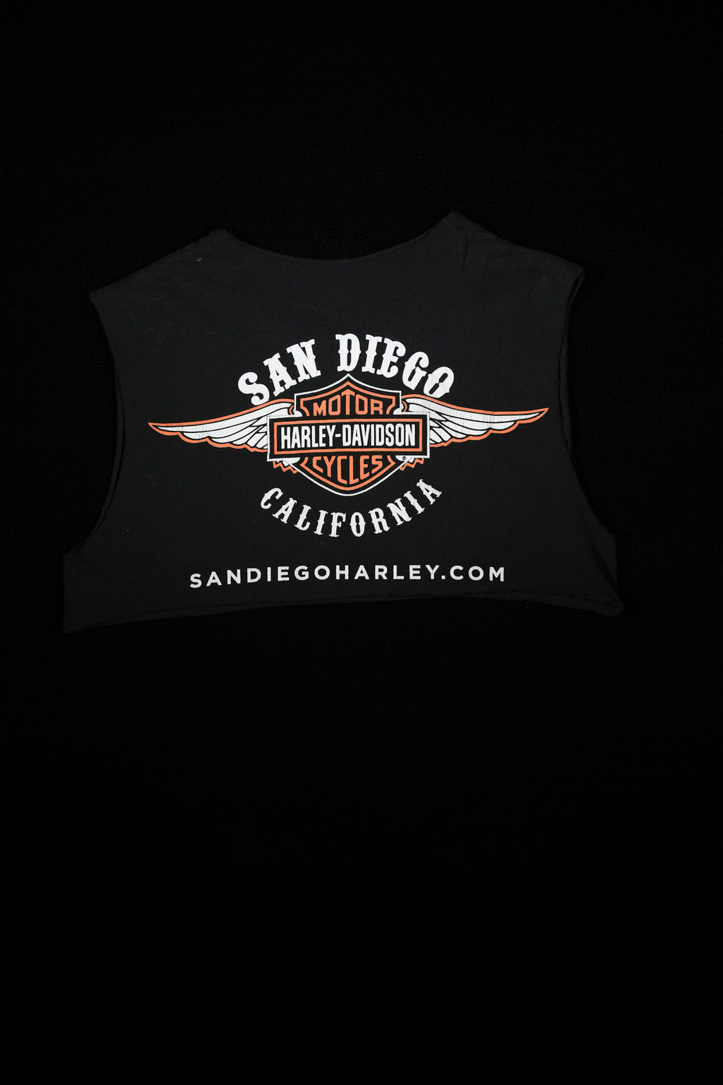 San Diego, California Harley Davidson ￼